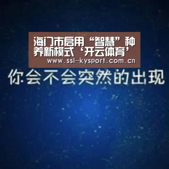 开云